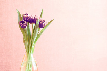 Bouquet of tulips and as a background for  post card