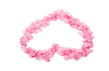 pink heart from the petals isolated