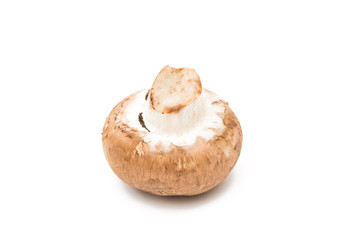 Brown champignon mushroom