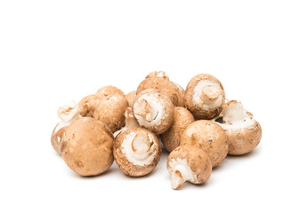 Brown champignon mushroom