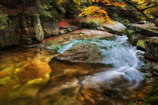 Small Creek In Autumn Mountain Forest