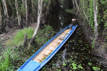 boat on the river in forest for travelling ecotourism