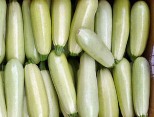 Fresh zucchini.