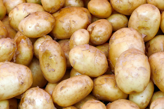 Fresh young potatoes.