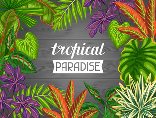 Tropical paradise card with stylized plants and leaves. Image for advertising booklets, banners, flayers