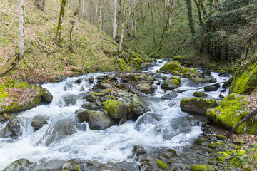 View of mountain forest river