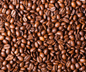 coffee in beans closeup
