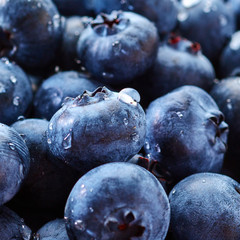 Blueberry close up