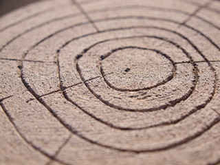 コンクリートに刻まれた年輪模様