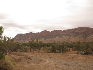 Flinders Ranges, Brachina Gorge, Australia
