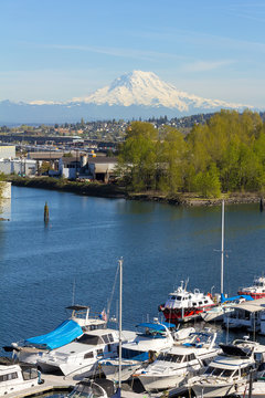 Mount Rainier From Tacoma Marina Daytime