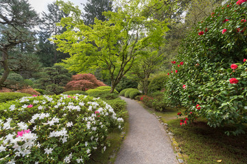 Obraz premium Japanese Garden Path in Spring