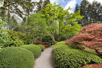 Garden Path at Japanese Garden