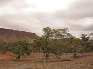 flinders ranges, south australia
