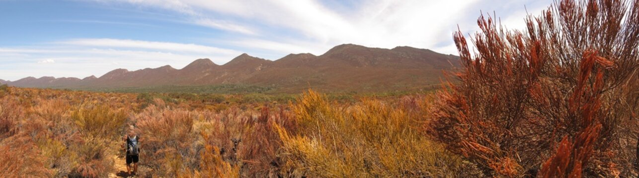 flinders ranges, south australia

