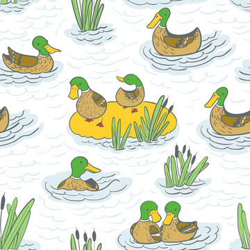 background with ducks and reed on water
