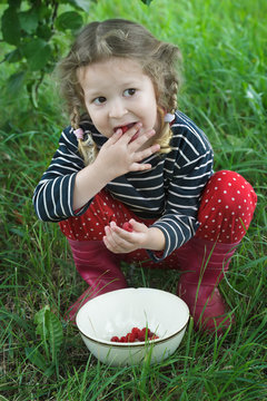 Little girl wearing red gumboots taking ripe raspberries from white bowl to her mouth