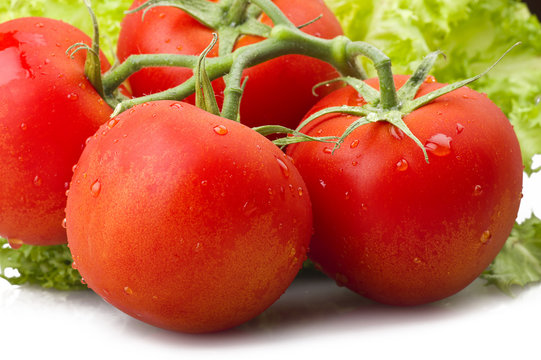 Red Tomato And Drops Water Close Up