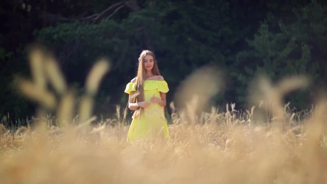 Beautiful girl with long hair walking between the ears of wheat. 