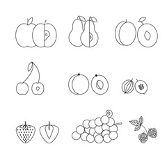 Fruit icons, thin line style, flat design