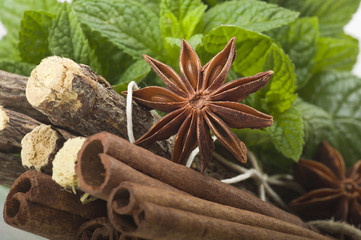 cinnamon,star anise,mint,licorice,close up on the white