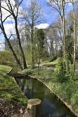 Fototapeta na wymiar L'imitation ruisseau le long d'un chemin entouré de végétation luxuriante au printemps au parc Josaphat à Schaerbeek