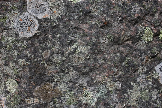 Close up of stone