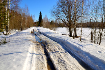 Early spring in forest