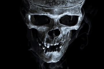 smoking skull - 107653506