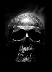 front of real skull in abstract smoke - 107653548