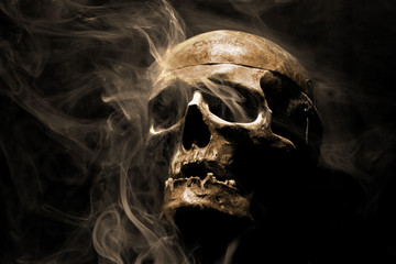 front of real skull in abstract smoke - 107653576