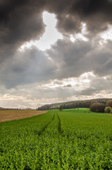Landschaft mit Wolken