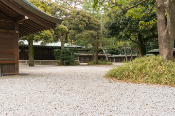 Japanese garden at temple