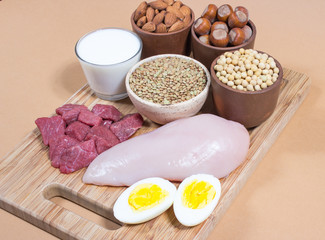 Natural products containing plant and animal proteins.