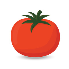 Red ripe tomato vector illustration isolated on white backgroud