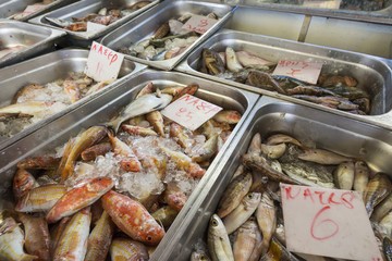Fresh fish in the fish market - Greece