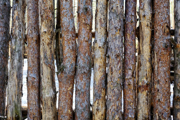 Fototapeta premium Natural background - a fence made of logs of pine. Rough raw thin pine logs. 