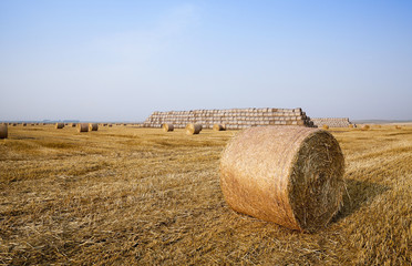 stack of straw in the field 