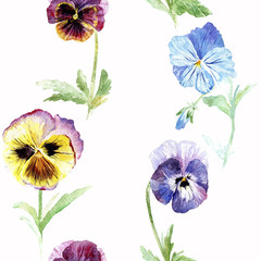 Floral seamless pattern.Pansy flowers.Watercolor hand drawn illustration.White background.