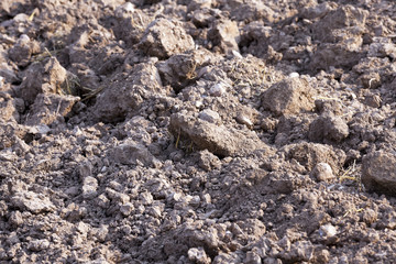 plowed land close up 