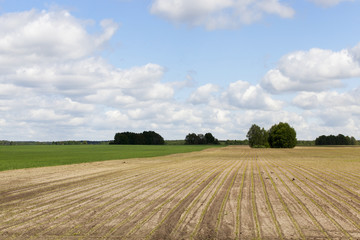plowed for crop land 