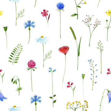 Floral seamless pattern.Colorful floral pattern with wild flowers and herbs on a white background, drawing watercolor.