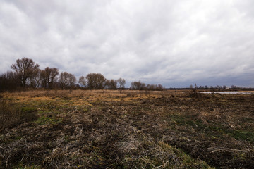 autumn landscape, overcast  