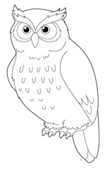 Cartoon animal - owl - isolated - coloring page - illustration for children