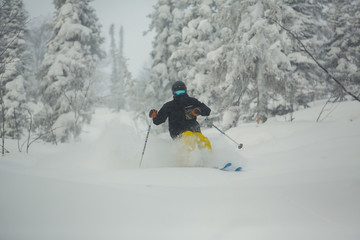 Extreme downhill skier on the snow in forest.
