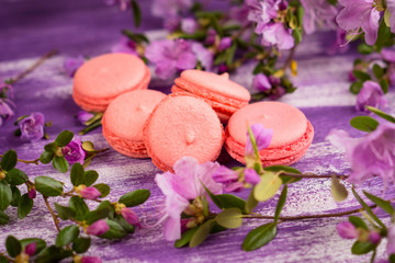 Bright macaroons on the wooden background