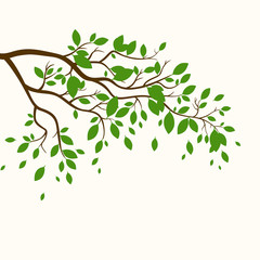 Vector Illustration of a Branch with Green Leaves