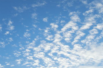 High Cumulus or Altocumulus clouds in deep blue spring sky