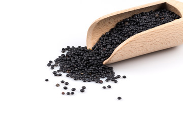Beluga. Black lentil in scoop
