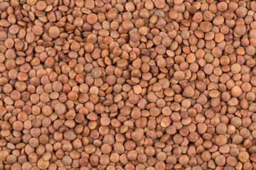 Picture of brown lentils over flat surface